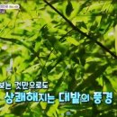 들얼농장