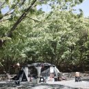 약초농원민박 이미지