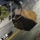 대명초교 이미지