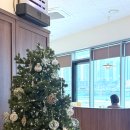 노작공원 볼컬링장 | 동탄역맛집 핏제리아오 통창 뷰가 완벽한 노작공원맛집 파스타 데이트