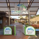 양서·파충류생태공원 아나콘다관 이미지