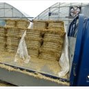 고창부안축산업협동조합섬유질사료공장 이미지