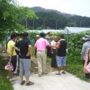 수림 농장 이미지