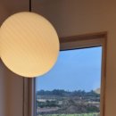 스테이 까미노 이미지