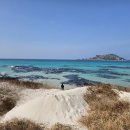 비바봉성 이미지