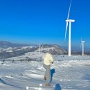 1073목장 | 강원도 겨울여행 평창 대관령 삼양라운드힐(구.삼양목장) 방문 후기