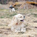 도기누리 이미지