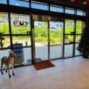 Greenwich Cafe (그리니치 카페)