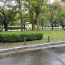 공릉관광지 이미지