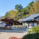 강원도 고성 가볼만한곳 청간해변 청간정 우리나라 문화유산 관동8경 여행 후기