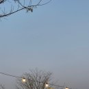 보스코공주 이미지