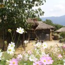 (주)모래무지 Daum카페