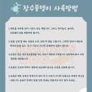 와우펫앤쥬 대구점 이미지