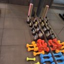 블랙포스짐 교대점 | 교대역 헬스장 맛집! 블랙포스짐 교대점 방문후기!