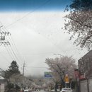 멍단장 | 밀양 카페 ㅣ계곡 산뷰 미쳤던 스텝로스터리 단장점(feat. 벚꽃뷰 카페)