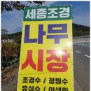 성실조경