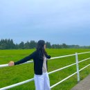 제주스럼 이미지