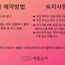매일요가인천