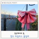 담아봄 풀빌라 | 청도 노래방있는 독채 청도 타임리스 풀빌라펜션