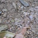 대청유치원 이미지