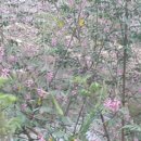 부귀산장펜션 이미지