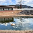 종인목장 이미지