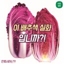 영농조합법인성진