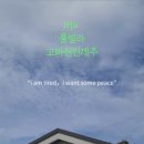 고바진인제주 네이버블로그