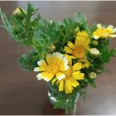 김재식농장 이미지