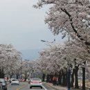 커피아라 - 울주군 간절곶해안길 57 | 커피아라