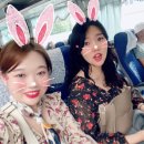 개인화물1819 | [타이페이 3박4일] 1일차 :: 인천공항 - 타오위안공항 - 우스란버블티 - 마라훠궈 - 타이페이101빌딩...