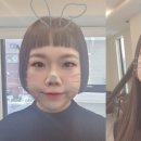 홍현희 카카오 검색결과