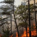 양전마을회관 이미지