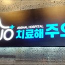 치료해 주오 이미지