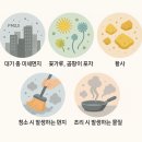 성남새집연구소