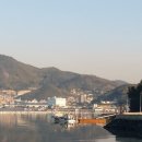 세구지5 이미지