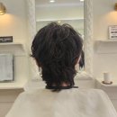 헤어블레스 이미지