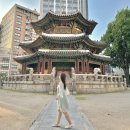 하늘궁 네오호텔 | 웨스틴조선호텔 주니어 스위트룸 후기(룸서비스, 칵테일아워, 조식)