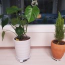 덕인농원 이미지