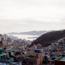 감천할머니 이미지