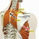 넘버원휘트니스 이미지