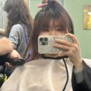 시영드라이 이미지