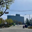 한강진역 2번 출구 | 그랜드하얏트 서울 테판 주말 런치 후기 (네이버예약 / 주차장뷰)