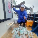 26년 4월 19일 여수 오션스타호 대(왕)한치 조황 이미지