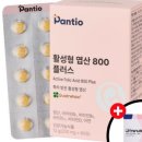 메디티오 이미지