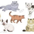 기운찬 동물병원 이미지