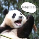 세븐일레븐 마산오동2호점 | 천방지축 어리둥절 빙글빙글 돌아가는 7월 일상