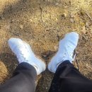 주성베이커리 | 강원 원주시 치악산 뷰 맛집 사니다카페 내돈내산 후기