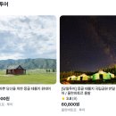 동행유니온 | 몽골 패키지 추천! 일정별 코스 비교부터 황금시즌 특가까지