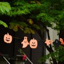 별이머무는곳 이미지